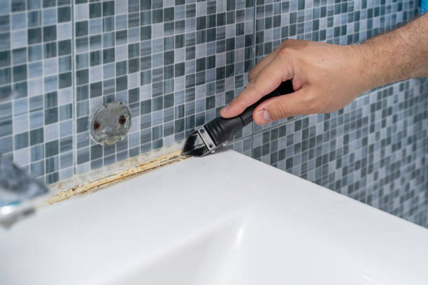 Best Health and Safety Mold Remediation in Drew, MS
